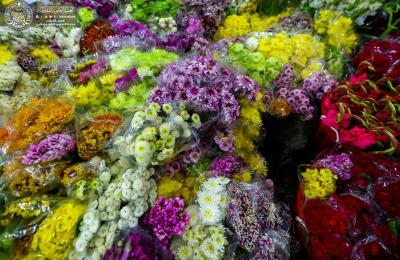 بالصور .. أكثر من 20 ألف وردة طبيعية تزين أرجاء مرقد أمير المؤمنين (ع) استعدادا للاحتفال بعيد الغدير الأغر