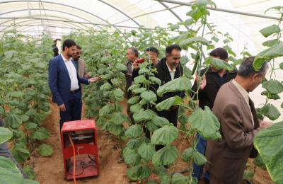 وفد كلية الآداب بجامعة الكوفة يزور (مشروع فدك الزراعي) التابع للعتبة العلوية المقدسة