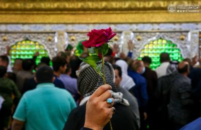 المؤمنون يباركون ولادة الأقمار المحمدية في حضرة أمير المؤمنين ( عليه السلام ) – صور -