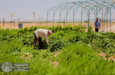 الكوادر الهندسية التخصصية في مزرعة فدك التابعة للعتبة العلوية المقدسة تستمر في تلبية احتياجات مضيف الإمام علي ( عليه السلام) لخدمة الزائرين