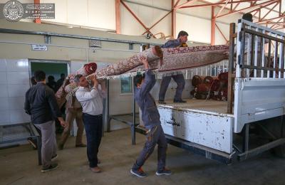 معمل غسل السجاد في العتبة العلوية ينجز أعمال غسل وتنظيف 37 ألف بطانية و4800 سجادة لأول وجبة بعد انتهاء شهر صفر