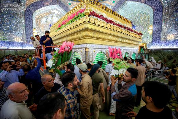 تيمنًا بمناسبة الغدير الأغر..تزيين الضريح المطهر للمولى أمير المؤمنين (عليه السلام) بآلاف الورود الطبيعية